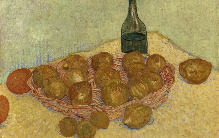 Korb mit Zitronen und Flasche