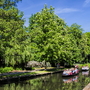 Spreewald nahe Lübbenau